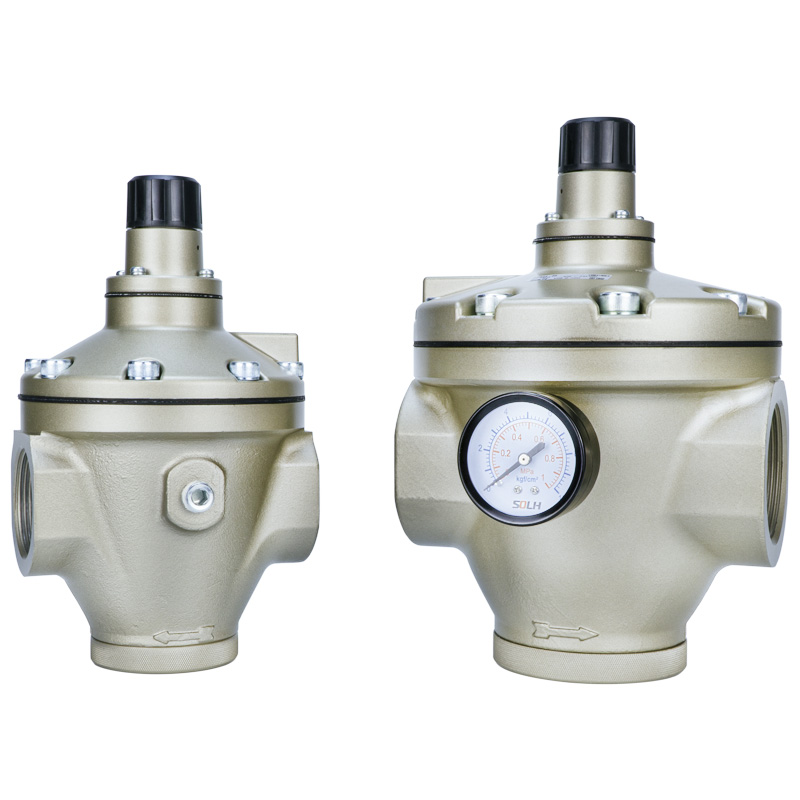 AR Pilotmanövrerad regulator