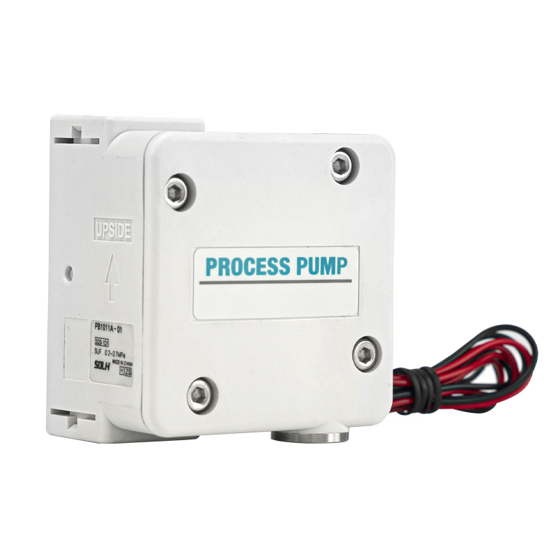 PB1011 Processpump